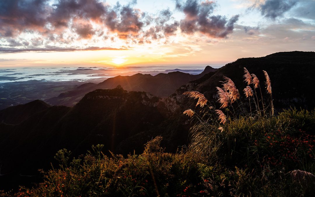 INPI concede a IG Santa Catarina para vinhos de altitude